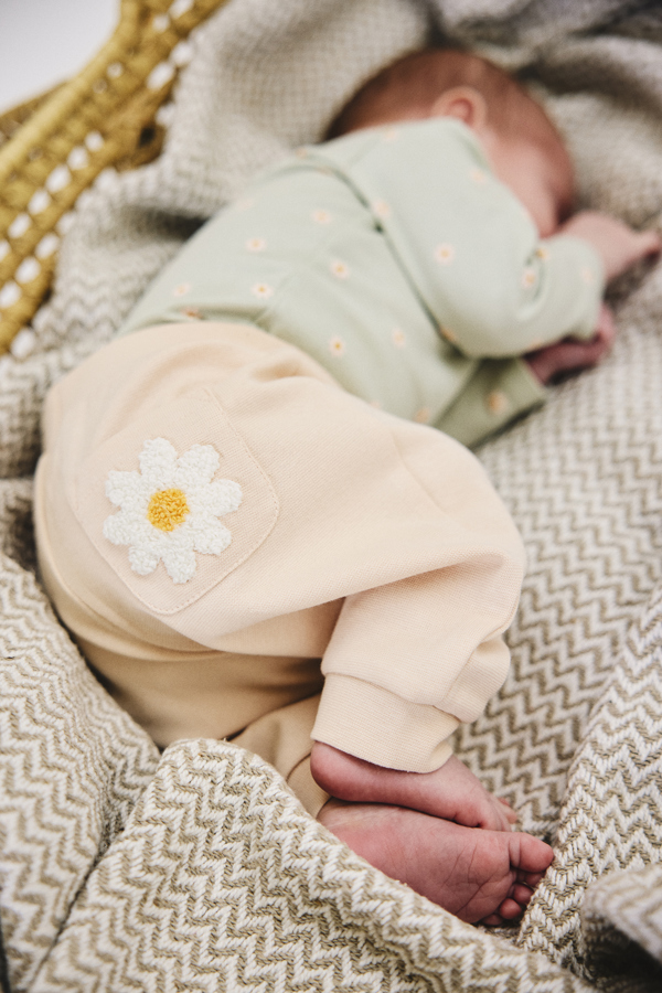 Hcbam 35146 3901 Hcgabe 35157 3763 Komp