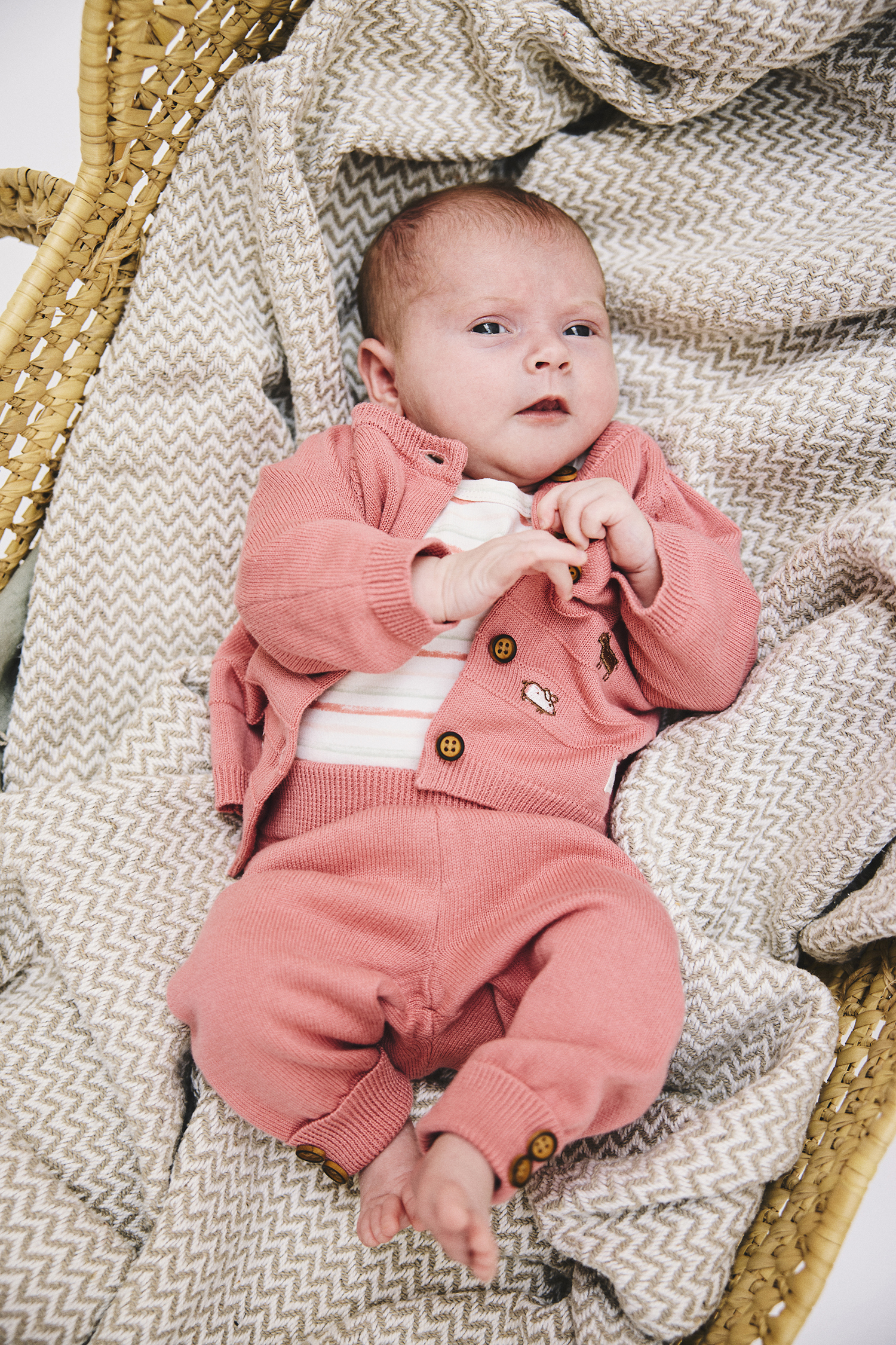 Hcbase 35165 3763 Hccall 35161 3709 Hcger 35162 3709 Komp